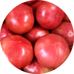 토마토(10kg)/ 토마토(5kg) /완숙토마토/청정지역토마토/친환경토마토/짭짤이토마토/대저토마토/찰토마토/